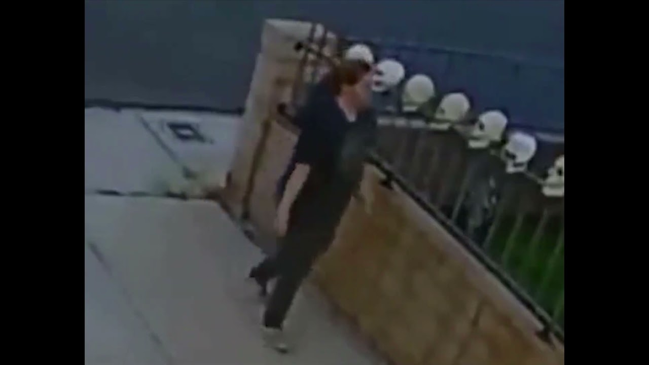 Skull on Fence Turns to Face Camera
