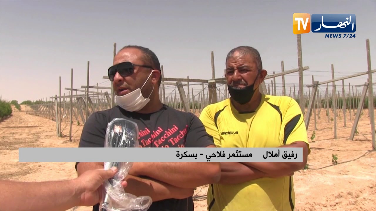 بسكرة: مستثمر فلاحي يحول مساحات شاسعة لجنة خضراء رغم العوائق