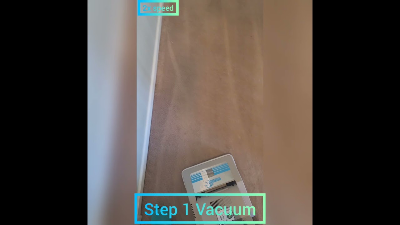 Professional carpet cleaning step by step!