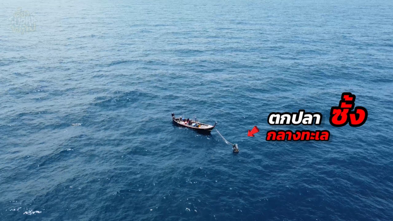 ผูกเรือกลางทะเล ตามหาปลาไซส์ยักษ์ | เดี๋ยวSuphaพาไป