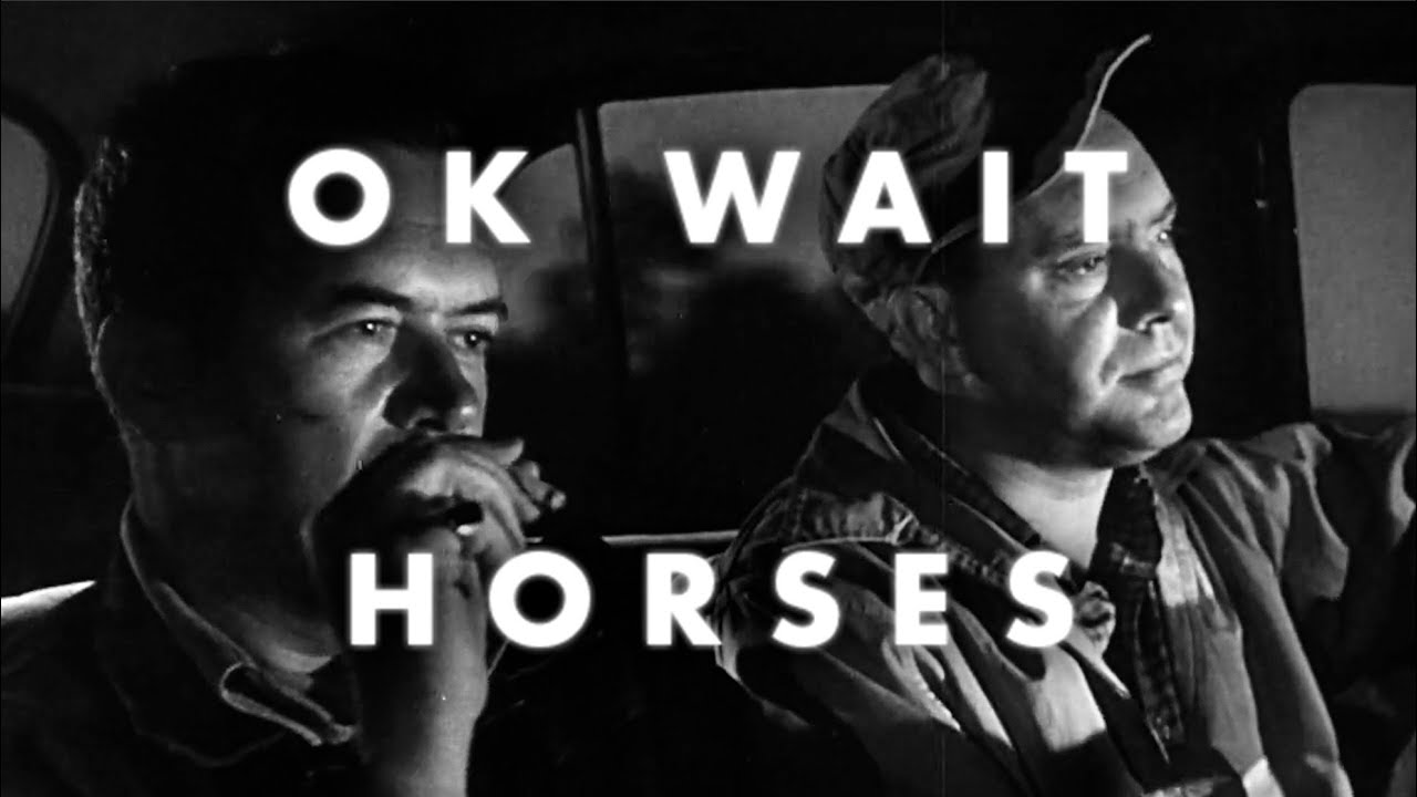 OK WAIT &ndash; HORSES (official video)