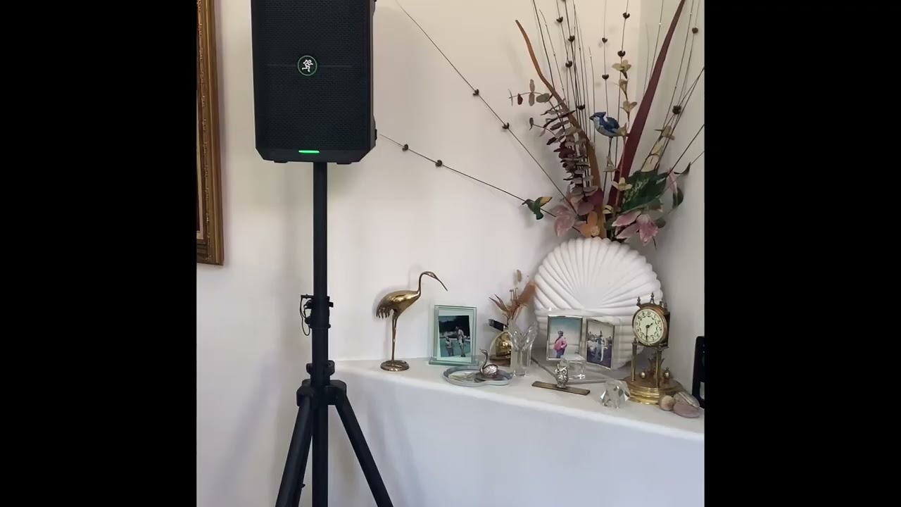 Пара колонок Mackie Thump Go &mdash; демонстрация звучания &mdash; лучшая бюджетная портативная/аккумуляторна...