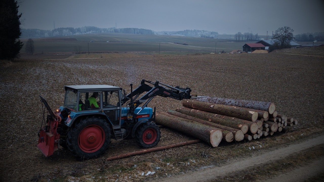 FarmVlog | Bodenfrost ausnutzen, holzrücken ohne Flurschaden... [4K]