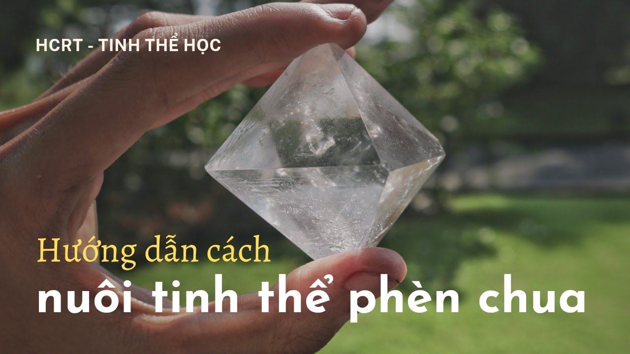 HD #10: Hướng dẫn cách nuôi tinh thể phèn chua (phèn nhôm) tại nhà | HCRT - Tinh thể học