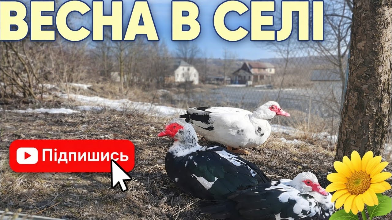 Уборка