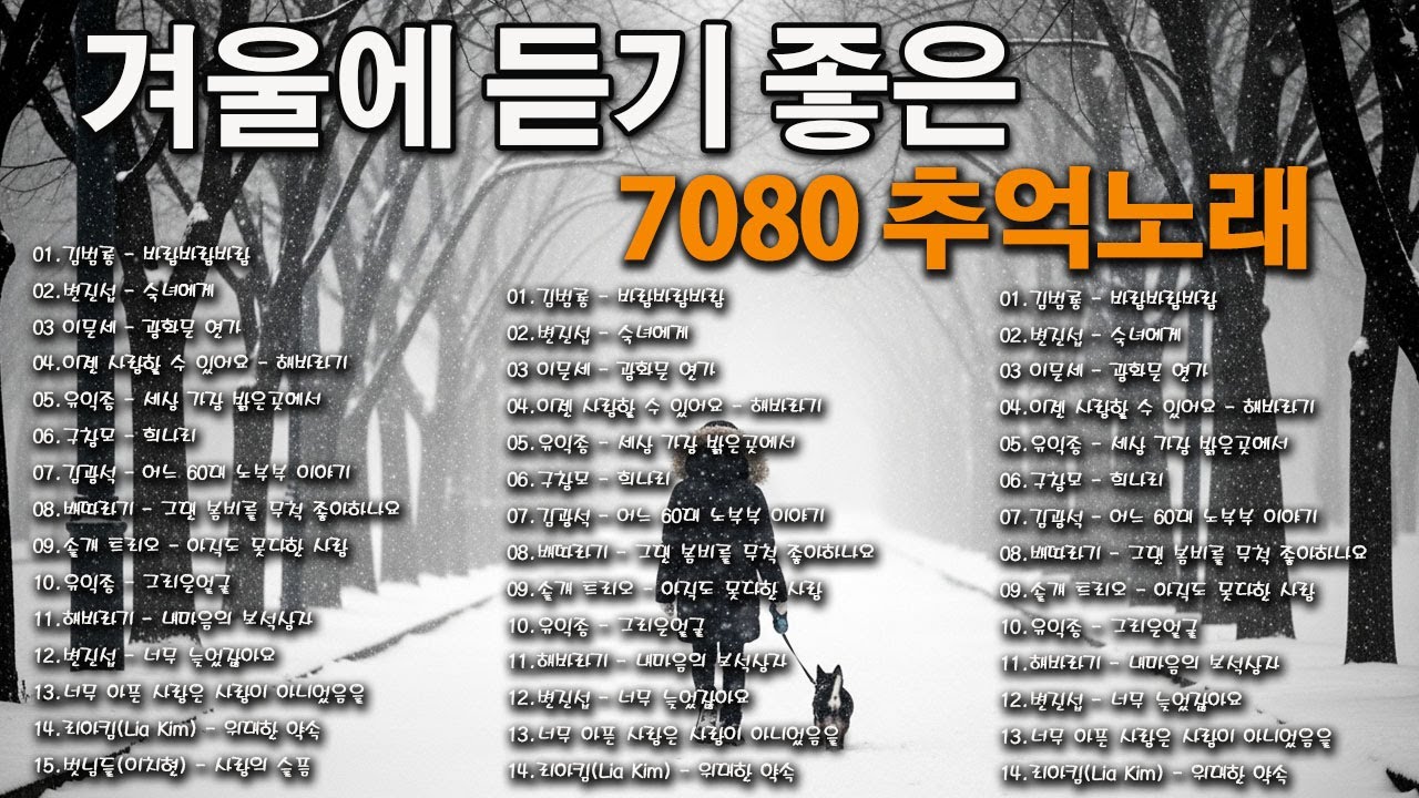 겨울에 듣기 좋은7080 추억노래❄️❄️50대이상이 들으면 정말 좋아할 노래❄️❄️바람바람바람 /어느 60대 노부부 이야기/아직도 못다한 사랑...