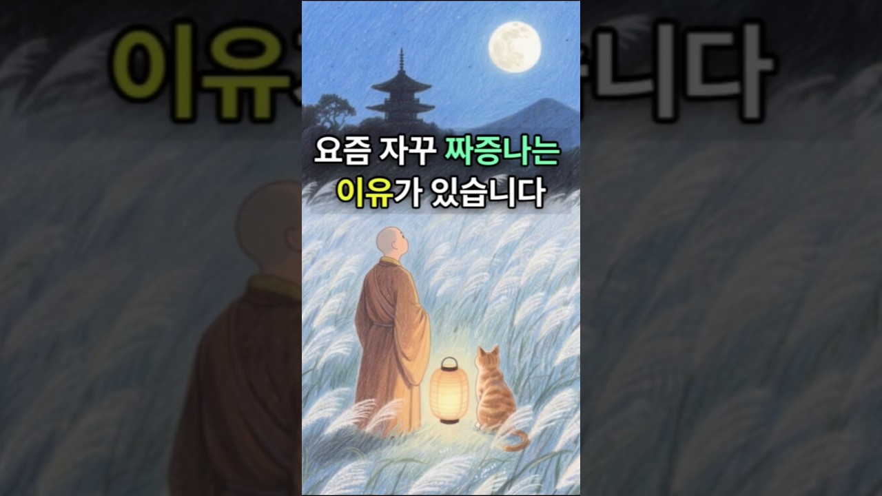 요즘 자꾸 짜증나는 이유ㅣ황금명언