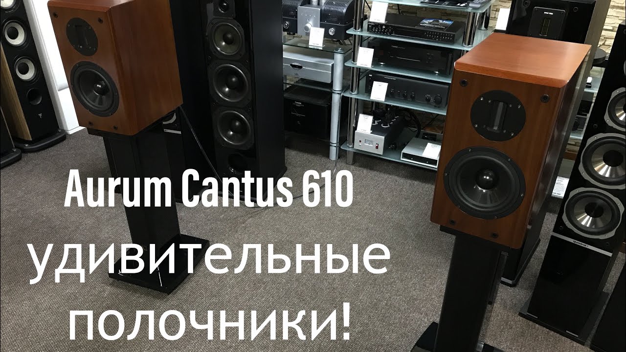 Полочная акустика Aurum Cantus 610