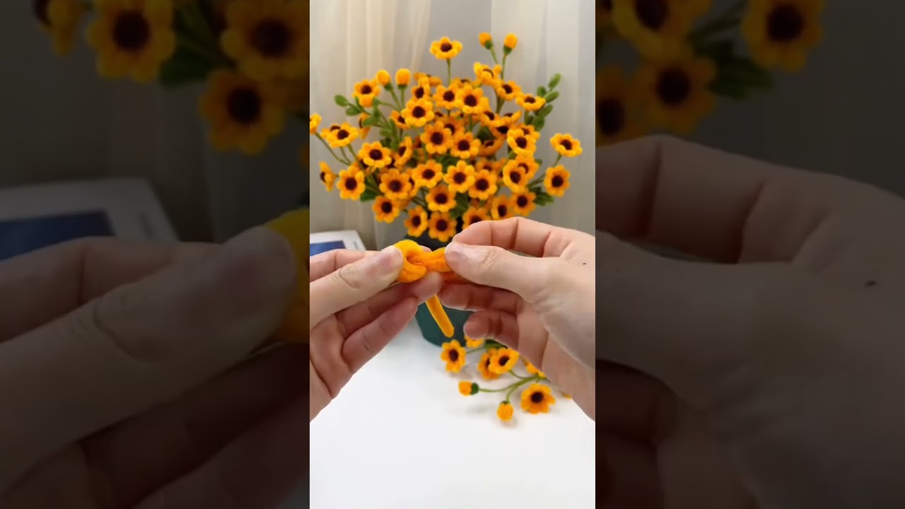 Miniature sunflowers, born towards the sun, like the sun, super simple . 