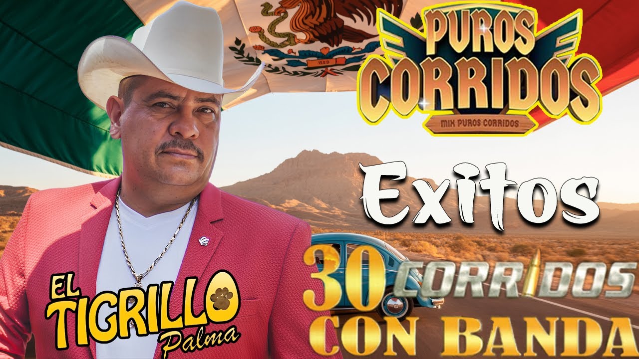 El Tigrillo Palma ( 30 Exitos ) - Corridos Pesados Mix - corridos con banda