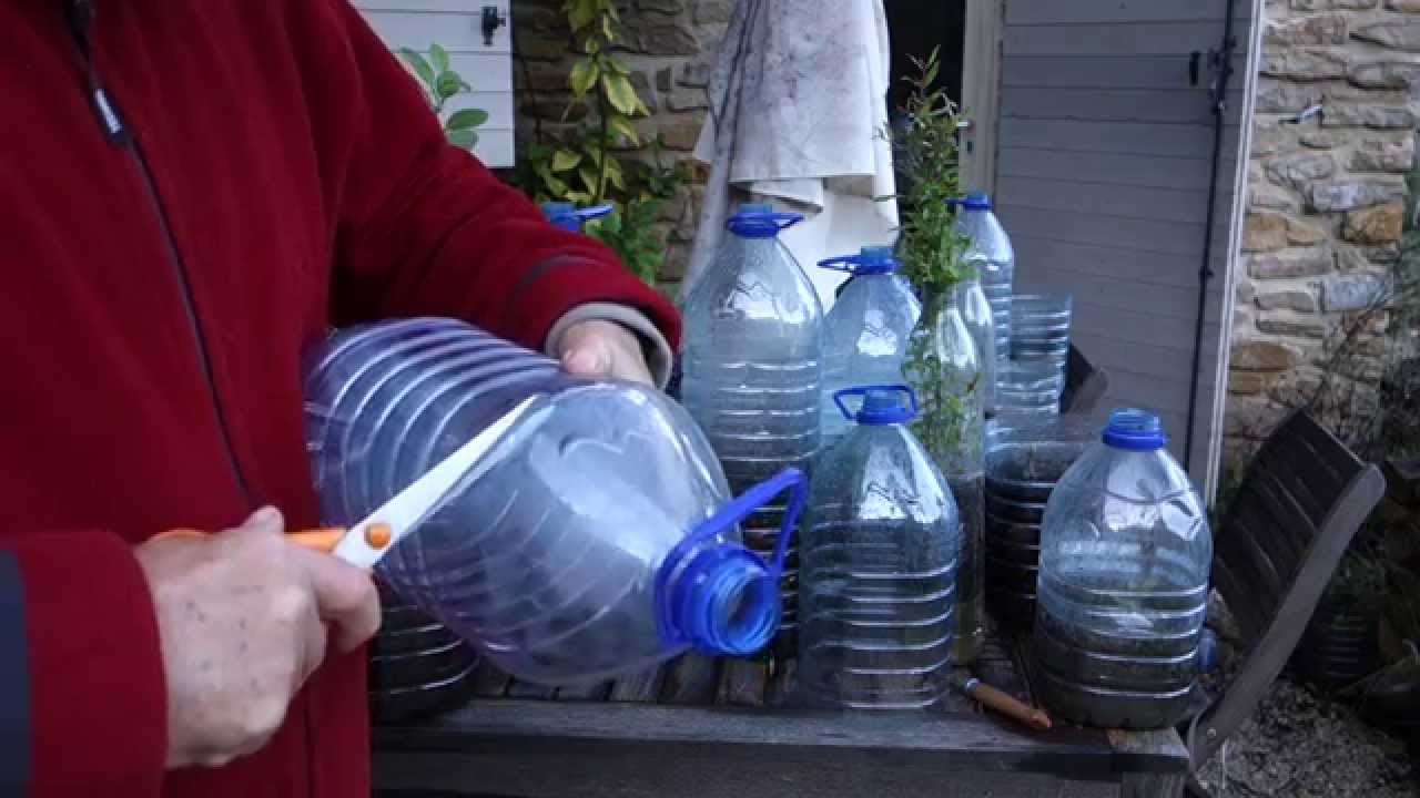 Bouteilles transformées en serres pour plantes avec des lombrics