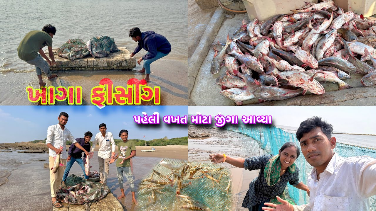 આજે તો હોંઢીયા એ રેકોર્ડ તોડ્યો 🦐 masba fishing 🎣🛳 dariyai khedut