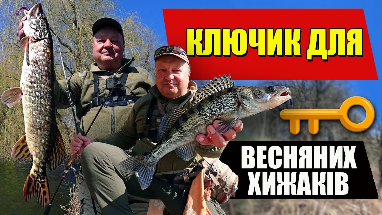 Всі хижаки хочуть ЦЕ навесні! Судак, щука та окунь на спінінг Crazy Fish Arion 832LS