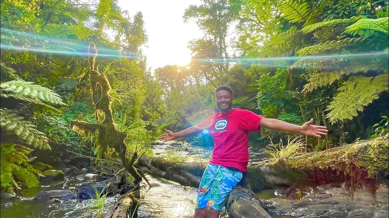 ጉዞ ወደ ሸካ ጫካ| visiting Sheka Forest 🌳