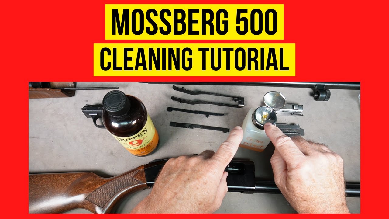 DIY Shotgun Care That Will Save You Money