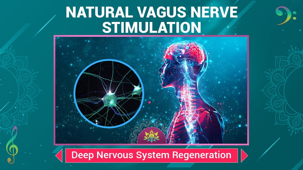 Natural Vagus Nerve Stimulation - Deep Nervous System Regeneration - Emotional & Physical Recovery