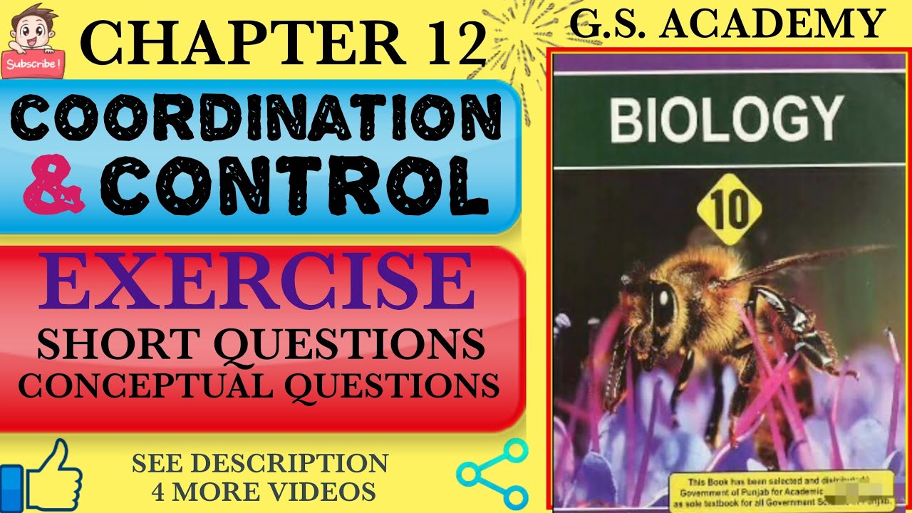 EXERCISE SHORT QUESTIONS, CONCEPTUAL QUESTIONS, CLASS 10, BIOLOGY, CH 12, COORDINATION AND CONTROL,