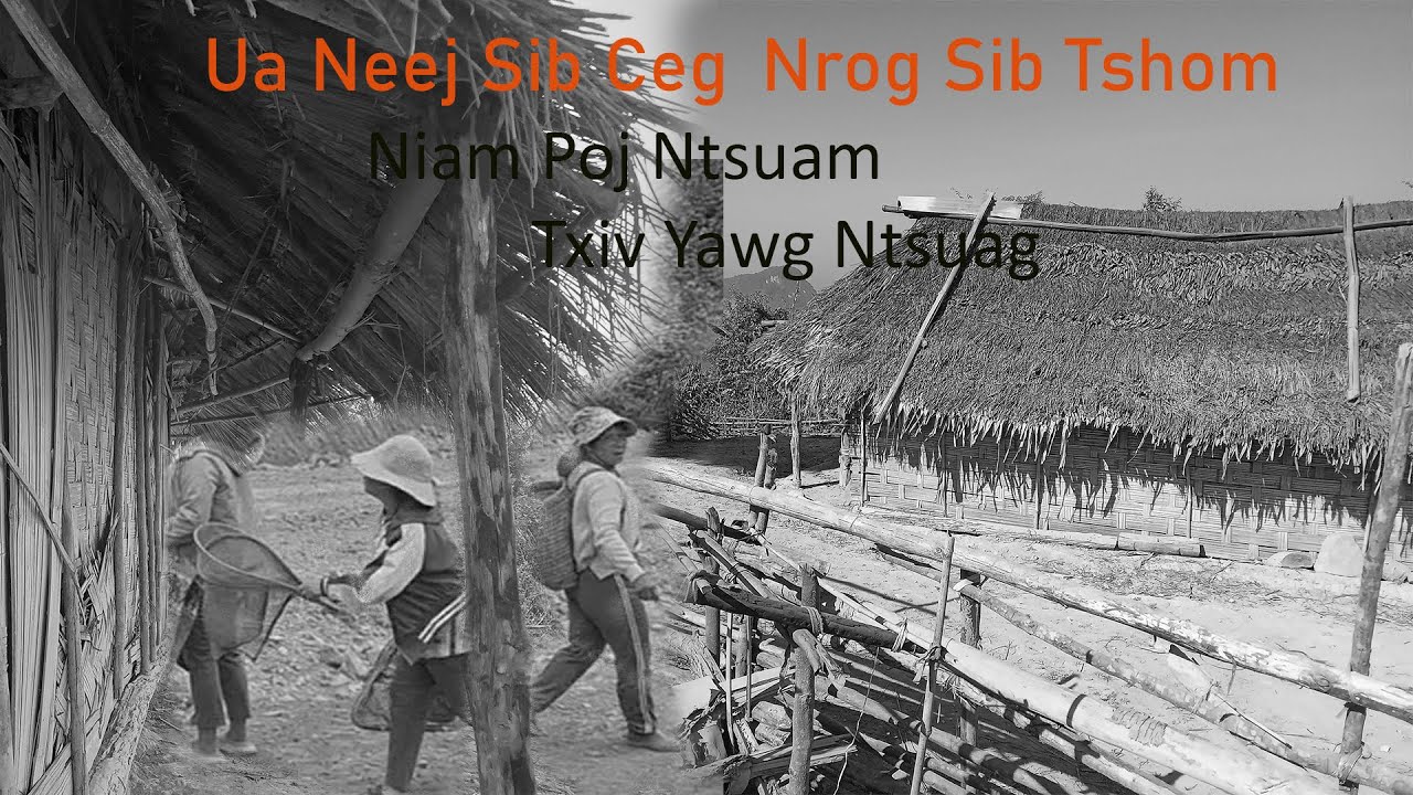 Aug 26, 2025 Niam Poj Ntsuam & Txiv Yawg Ntsuag Vim Yog Sib Ceg Sib Tshom