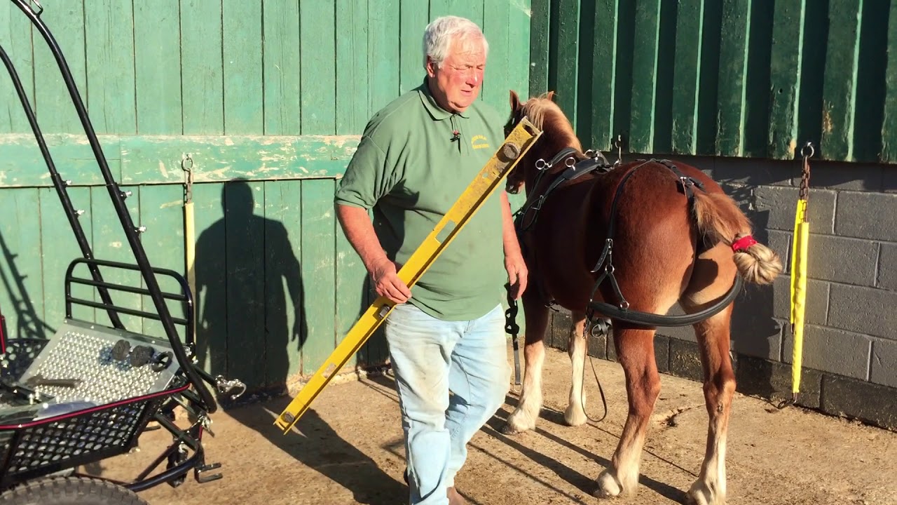 How to Harness; Part 3 - Setting Up the Cart