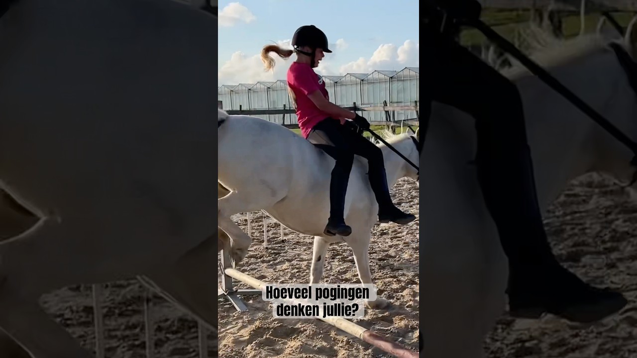 In dameszit springen! Hoeveel pogingen denken jullie?!