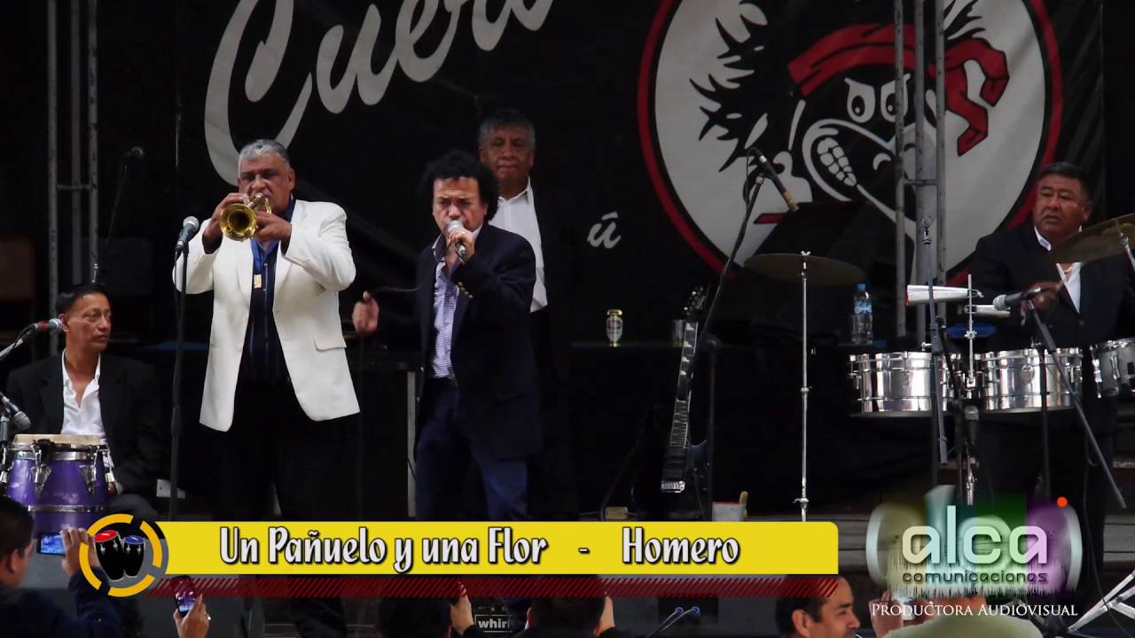 Homero -  Un Pañuelo y una flor