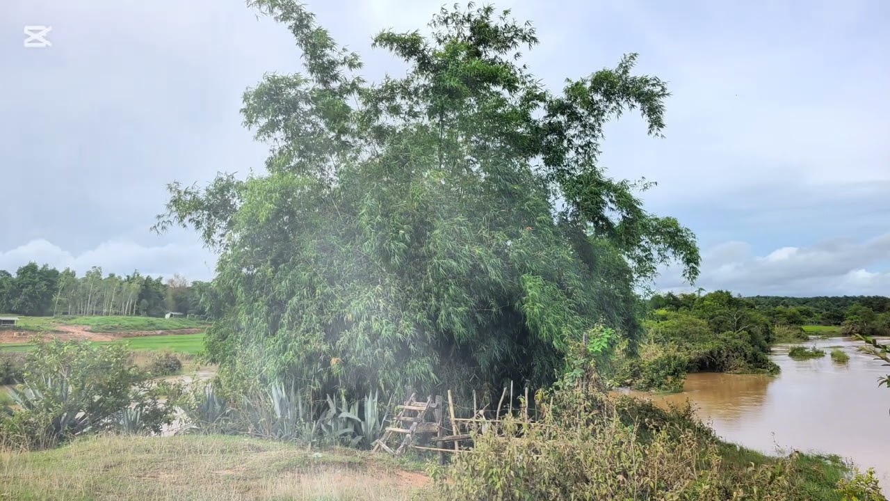 lub neej tau txiv quav ma thiaj lwj siab 
