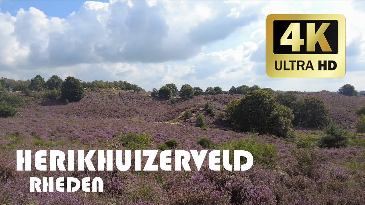 Месторождение Herikhuizer (Posbank), Rheden || Лето 2021 года || 4K