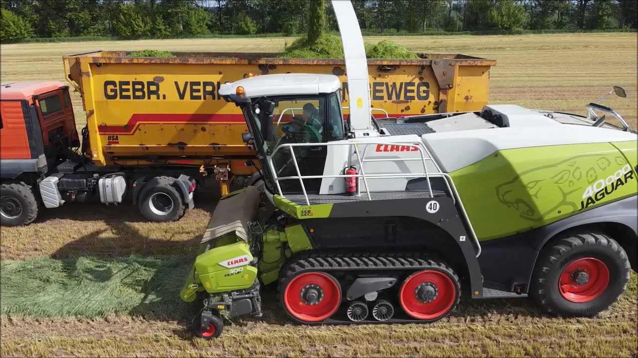 Claas Jaguar 960 TT Edition 40000 - Gr&uuml;nroggen h&auml;ckseln im Oderbruch 2021 K&ouml;ppen&Helmig