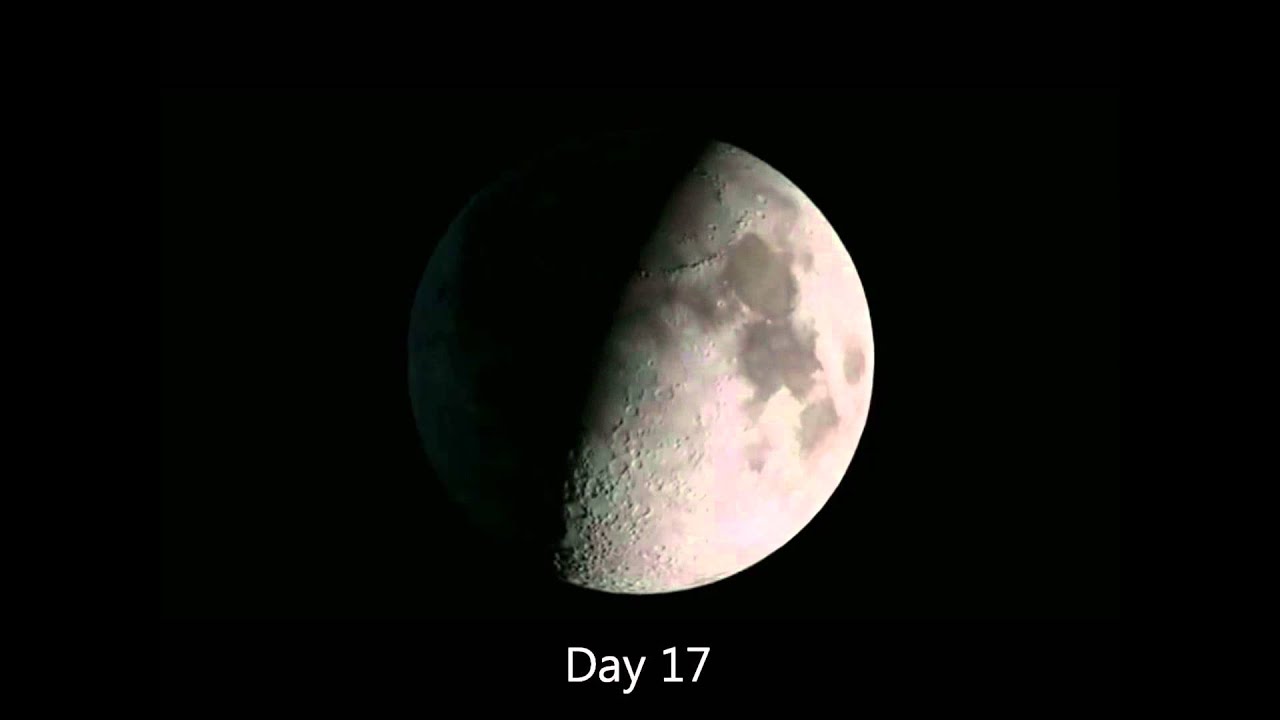 Phases of the moon with dates