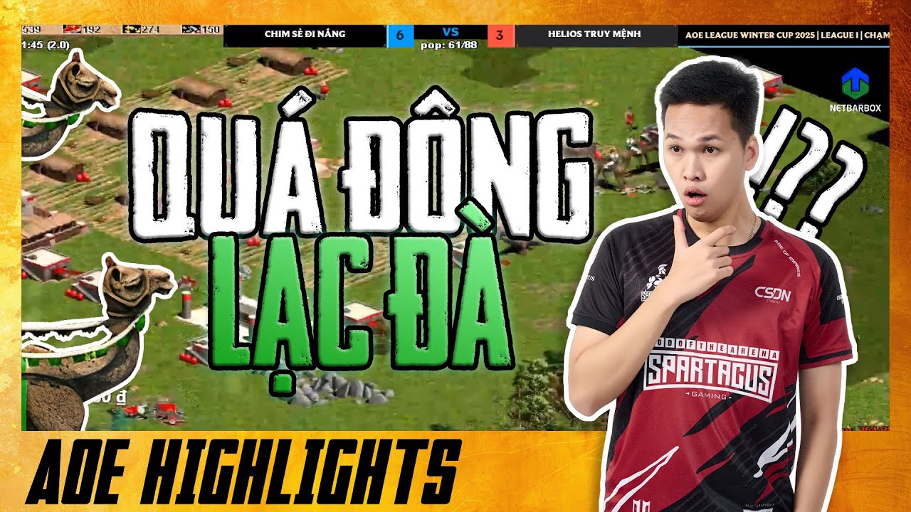 | AoE Highlights #aoe