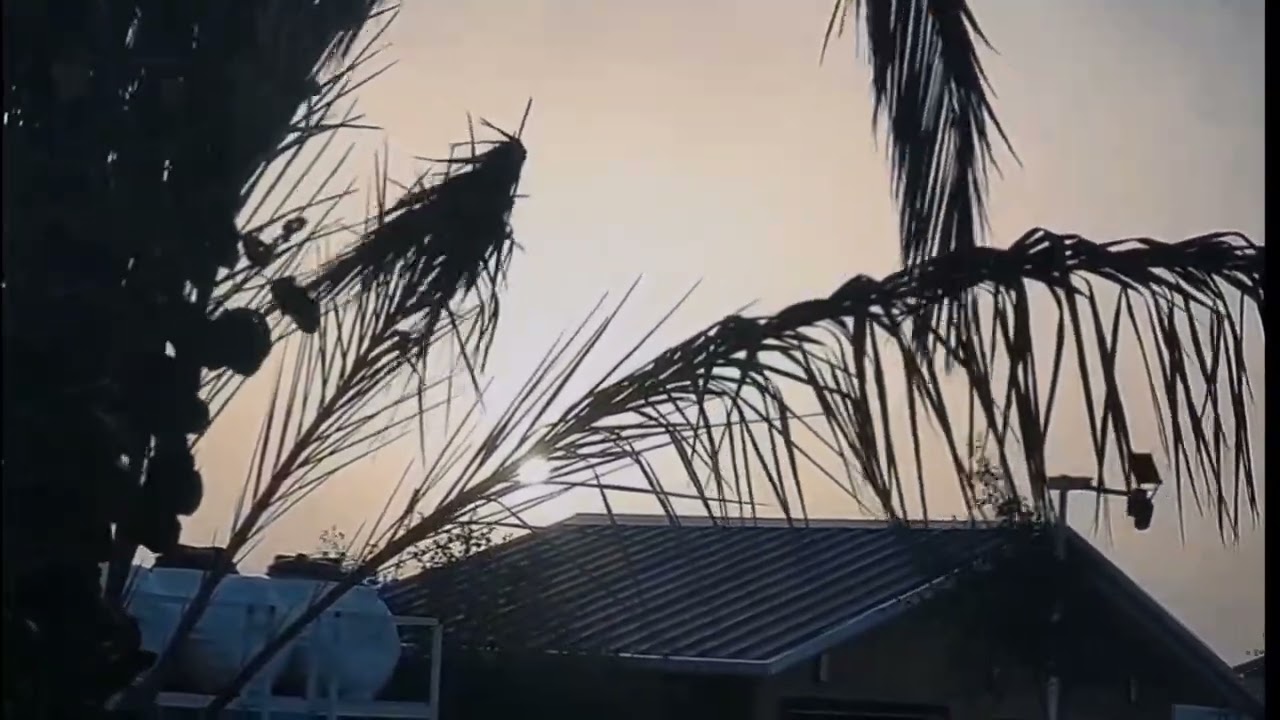 ٢٠ فبراير ٢٠٢٦