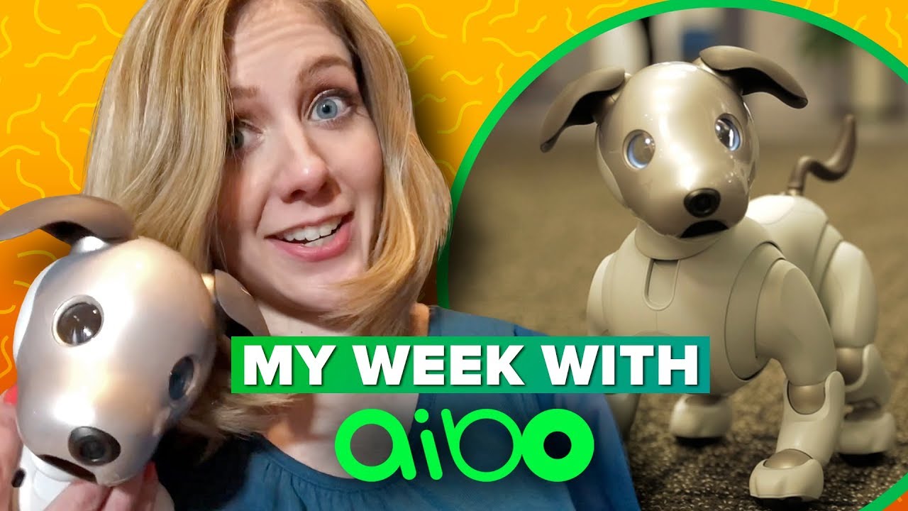 Sony Aibo: what it's like to live with a robot dog