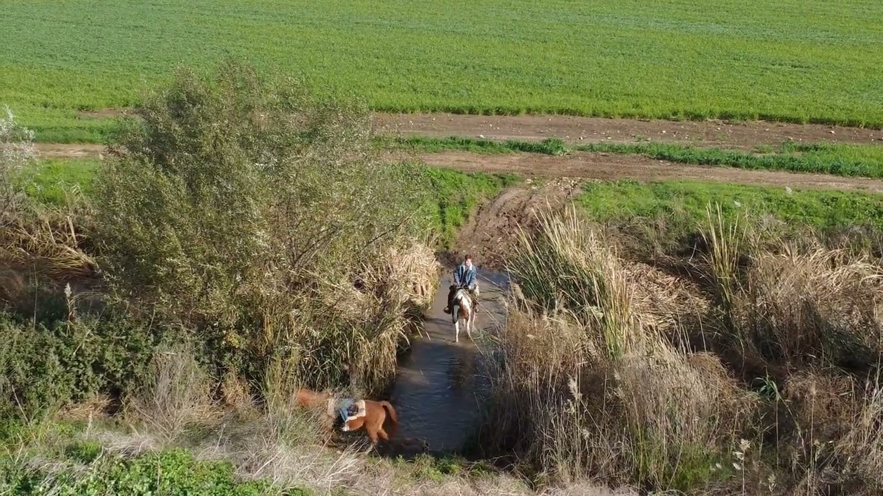 חופש אמיתי: רכיבה על סוסים בחוות הזוהר