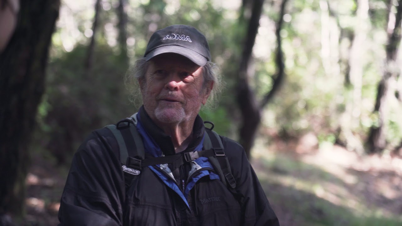 Foraging for Mushrooms at Salt Point State Park