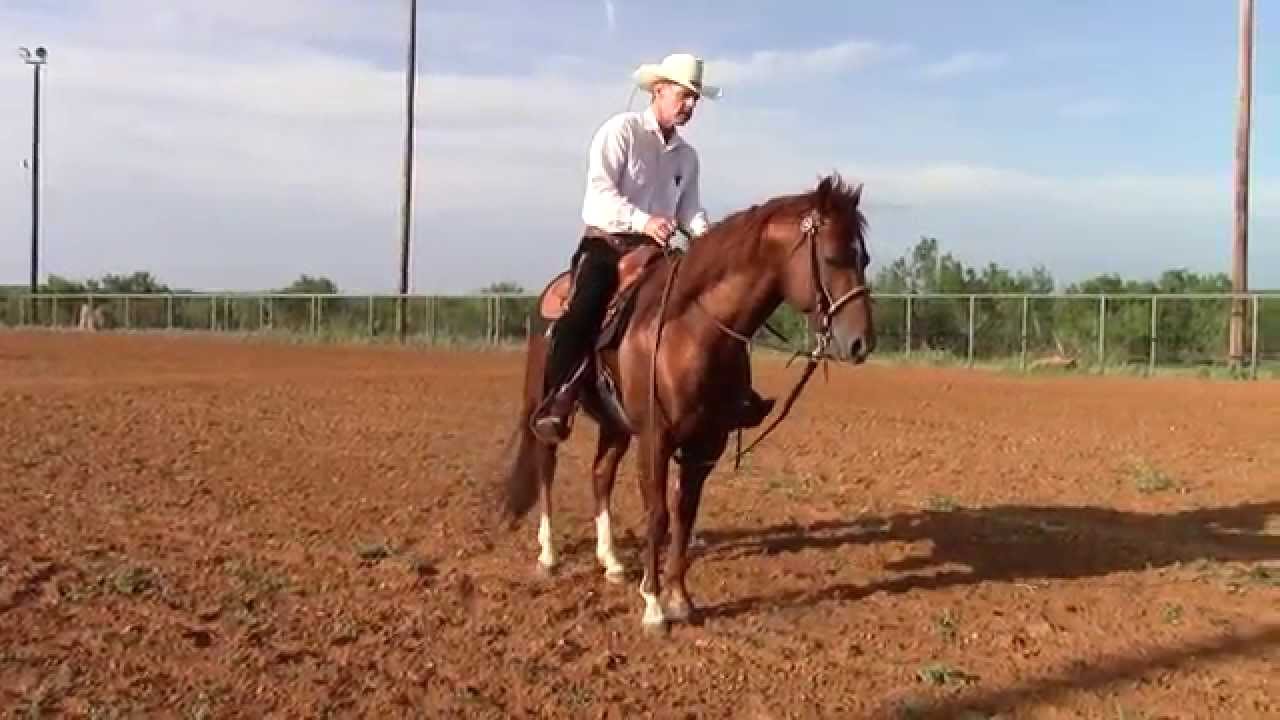 Setting the Pivot Foot - Dale Fredricks Horse Training