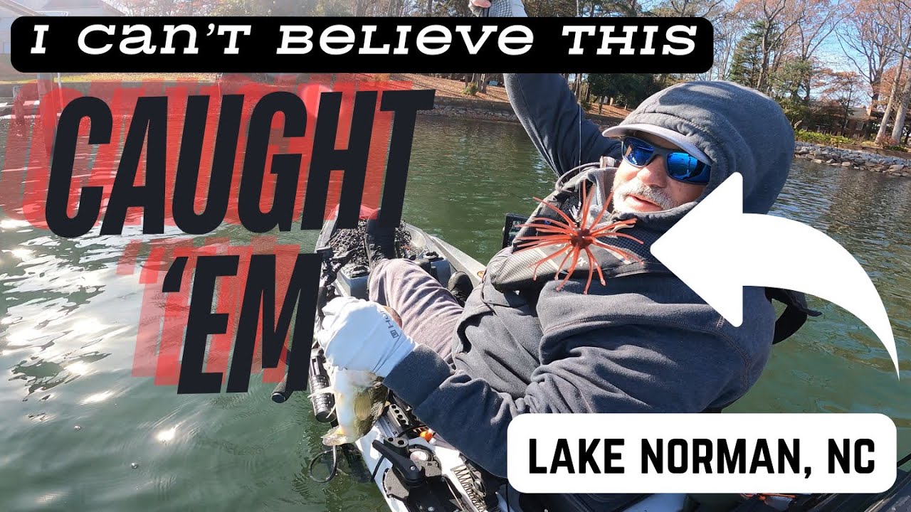 Lake Norman, I can't believe this bait works?!?!