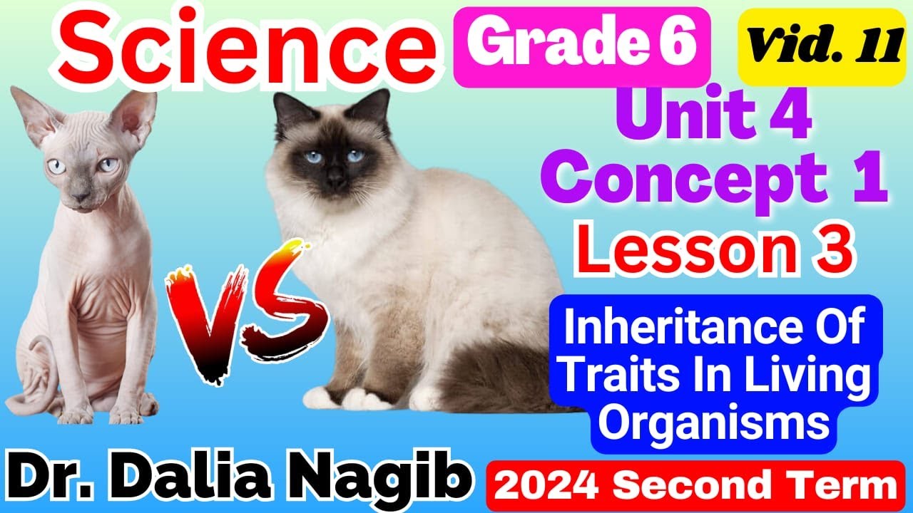 Science Grade 6 -2024- Unit 4 Concept 1 Lesson 3 Inheritance Of Traits  ساينس سادسة ابتدائي ترم ثانى