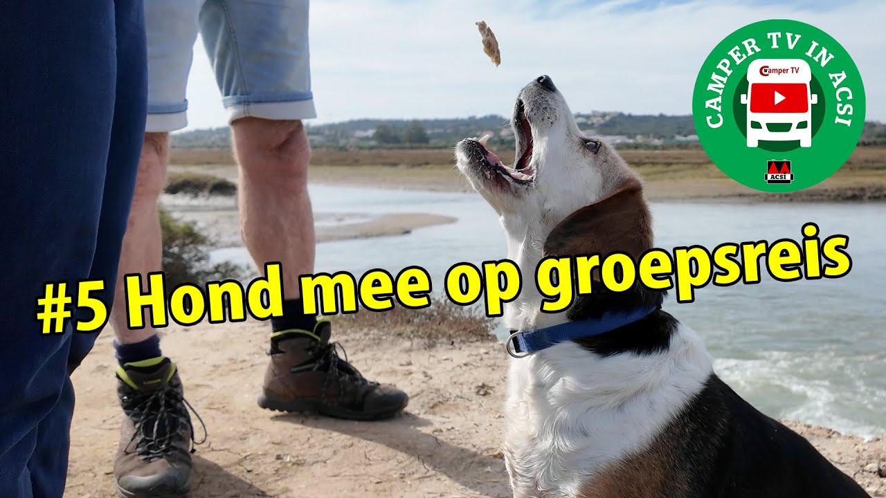 #419 Camper TV in ACSI #5 Hond mee op groepsreis