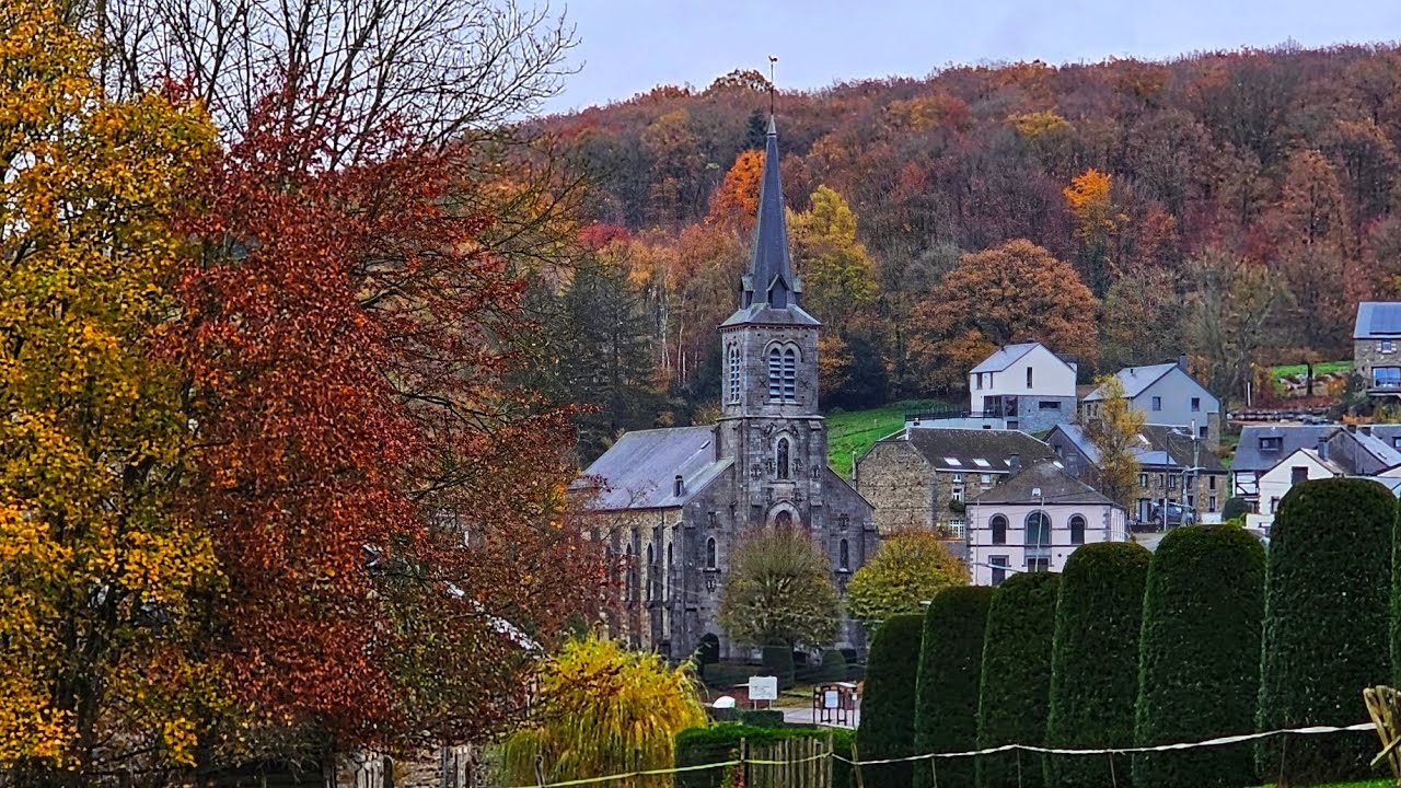 Balade à Mirwart 8km