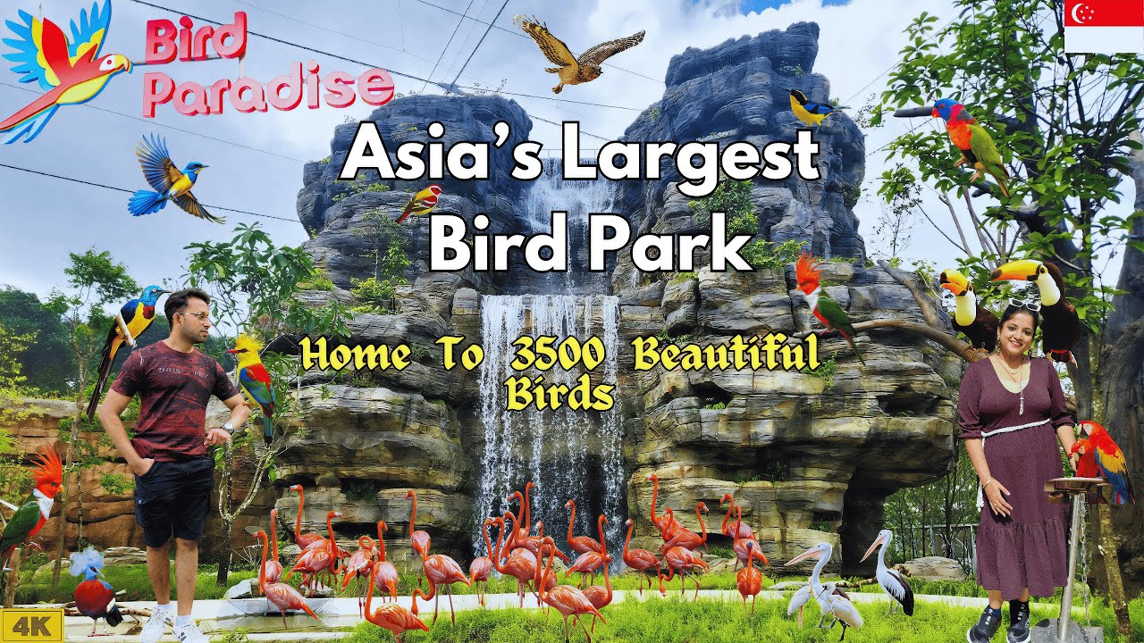 Bird Paradise Singapore Tour 2026 | Asia’s Largest Bird Park at Mandai Wildlife, Transport Guide 🇸🇬