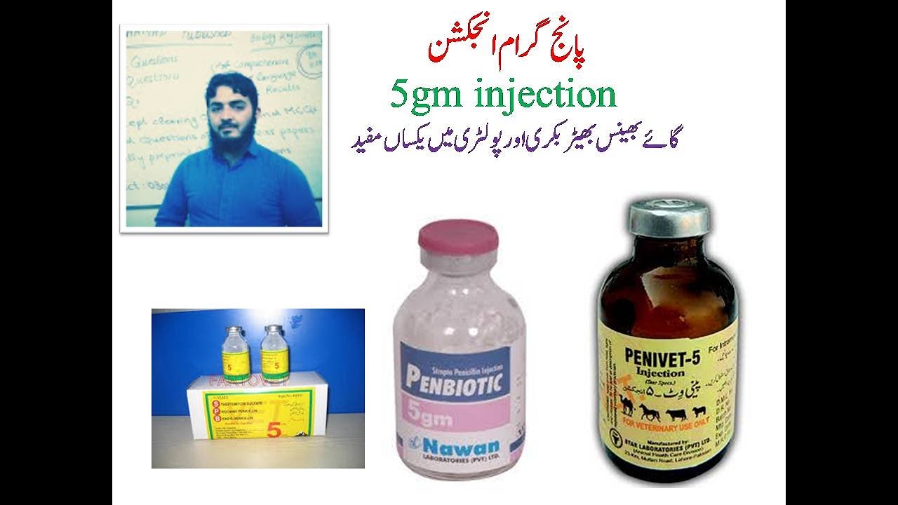 Penbiotic 5gm : Uses in Veterinary Practice 5گرام ٹیکے کے استعمالات