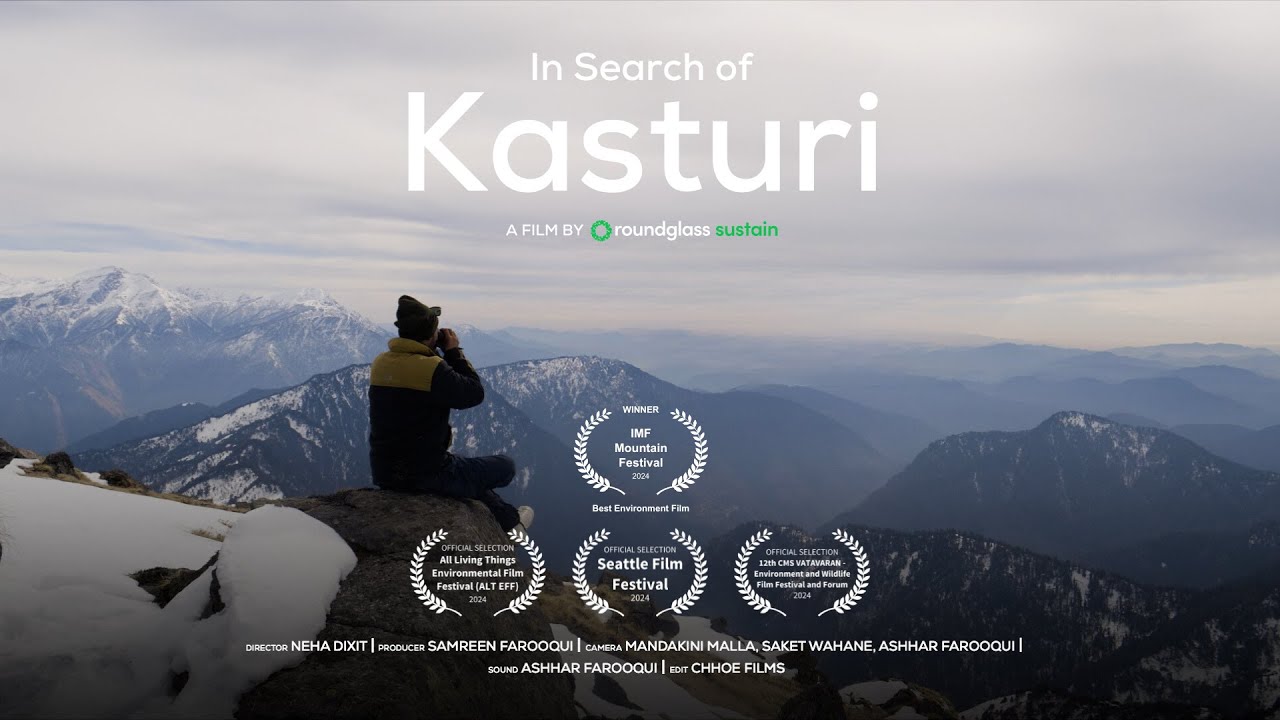 In Search of Kasturi: Filming the Himalayan Musk Deer | Wildlife Documentary | @RoundglassSustain