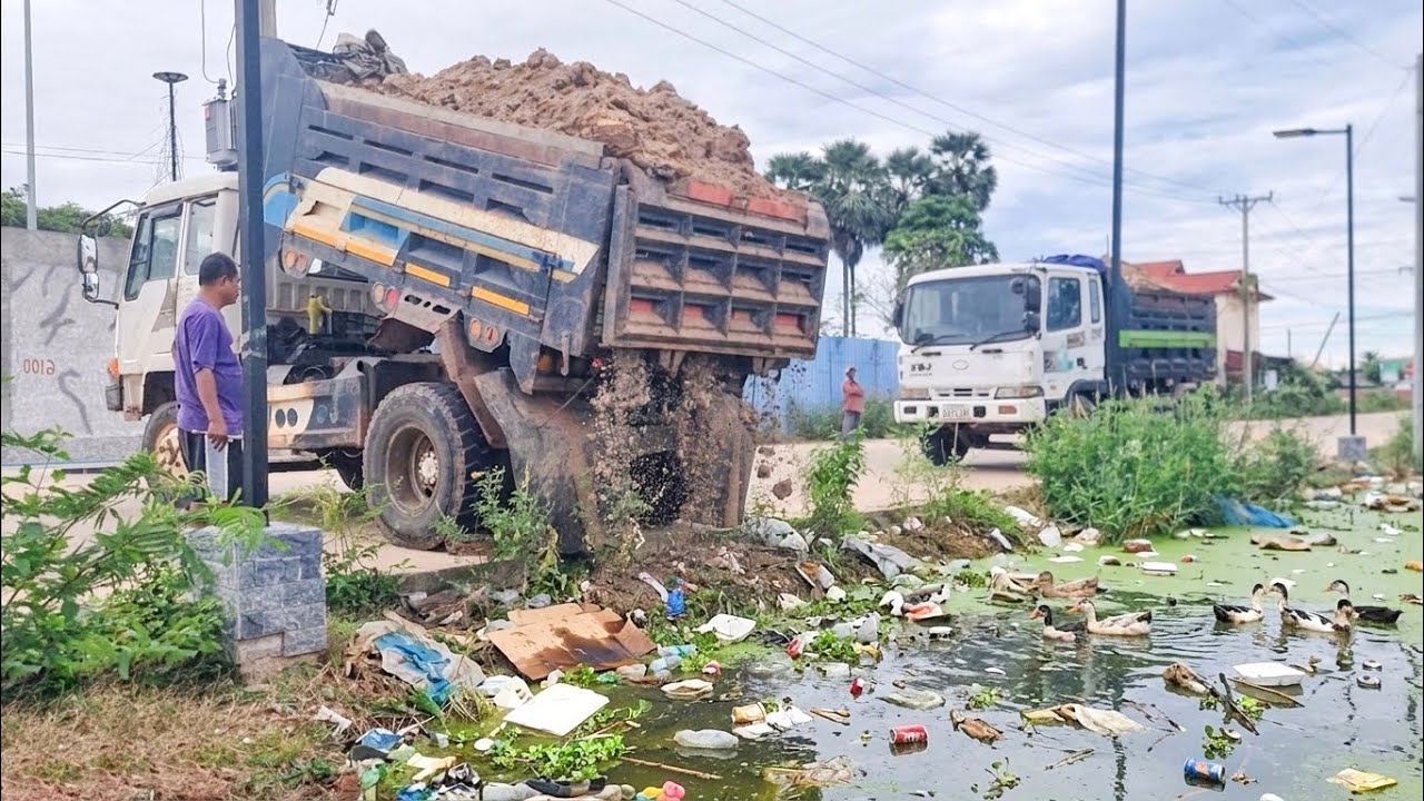 Delete deep the pond to build Warehouse process dump trucks with Skill dozer pushing dirt 