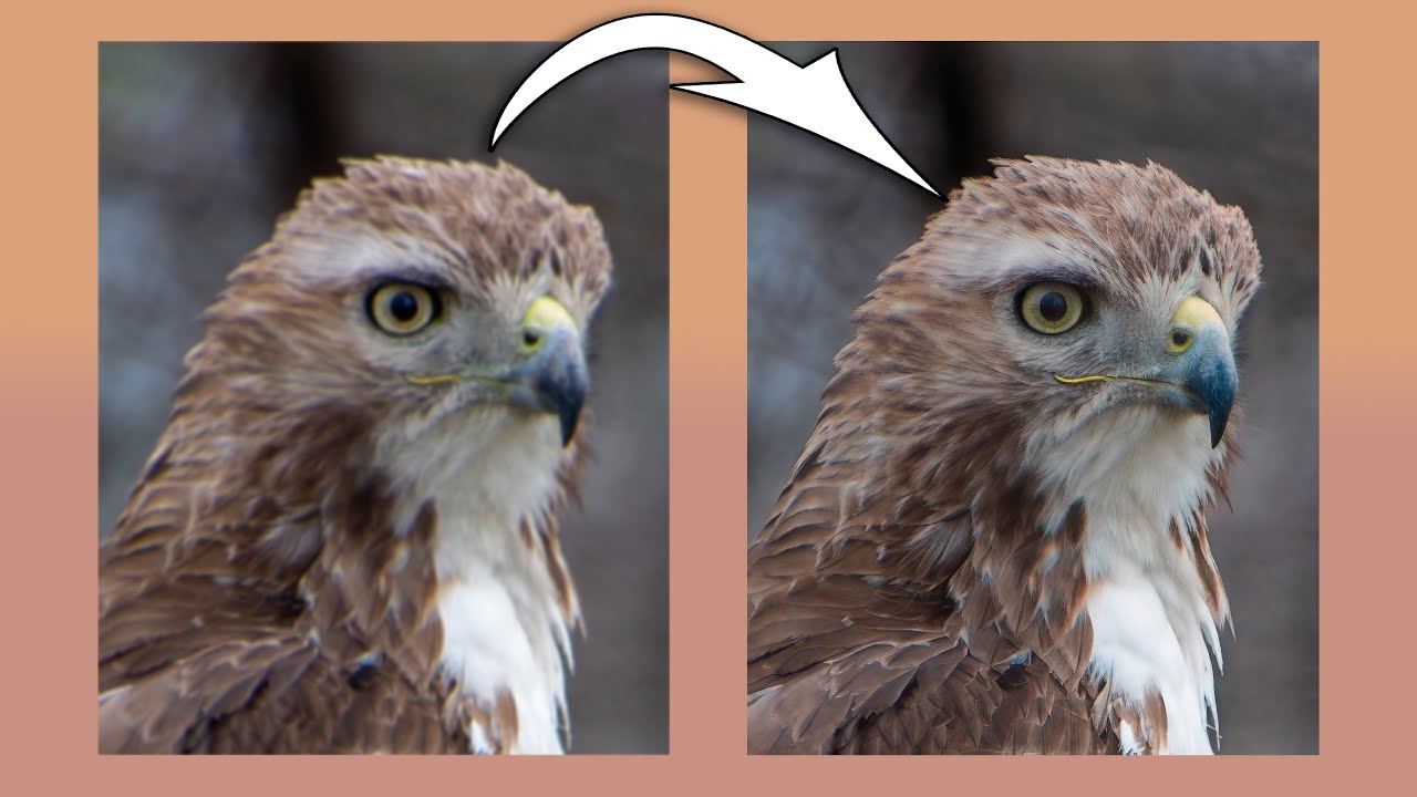 NEW On1 Resize AI 2026 – Getting Better & Better!