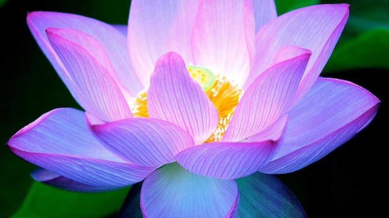 Они никогда не думали, что доживут до того дня, когда их деньги перестанут влиять на ситуацию.