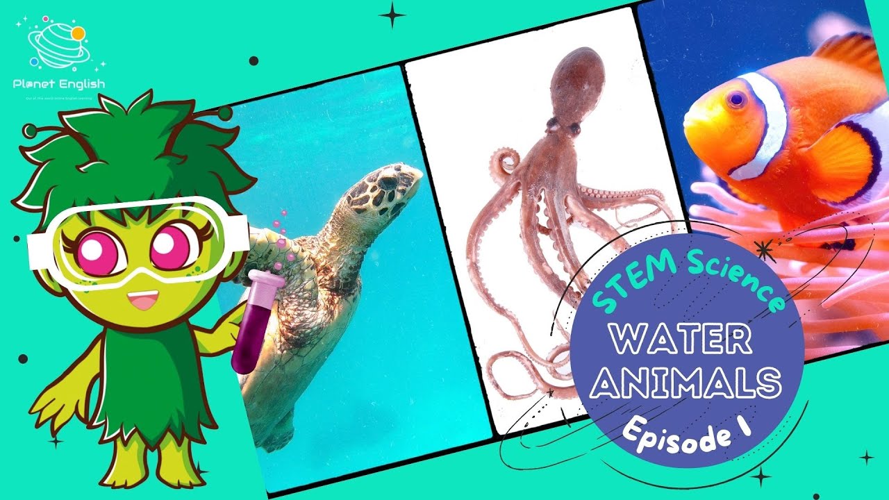 Water Animals Ep1 | Science for Kids | STEM Home Learning