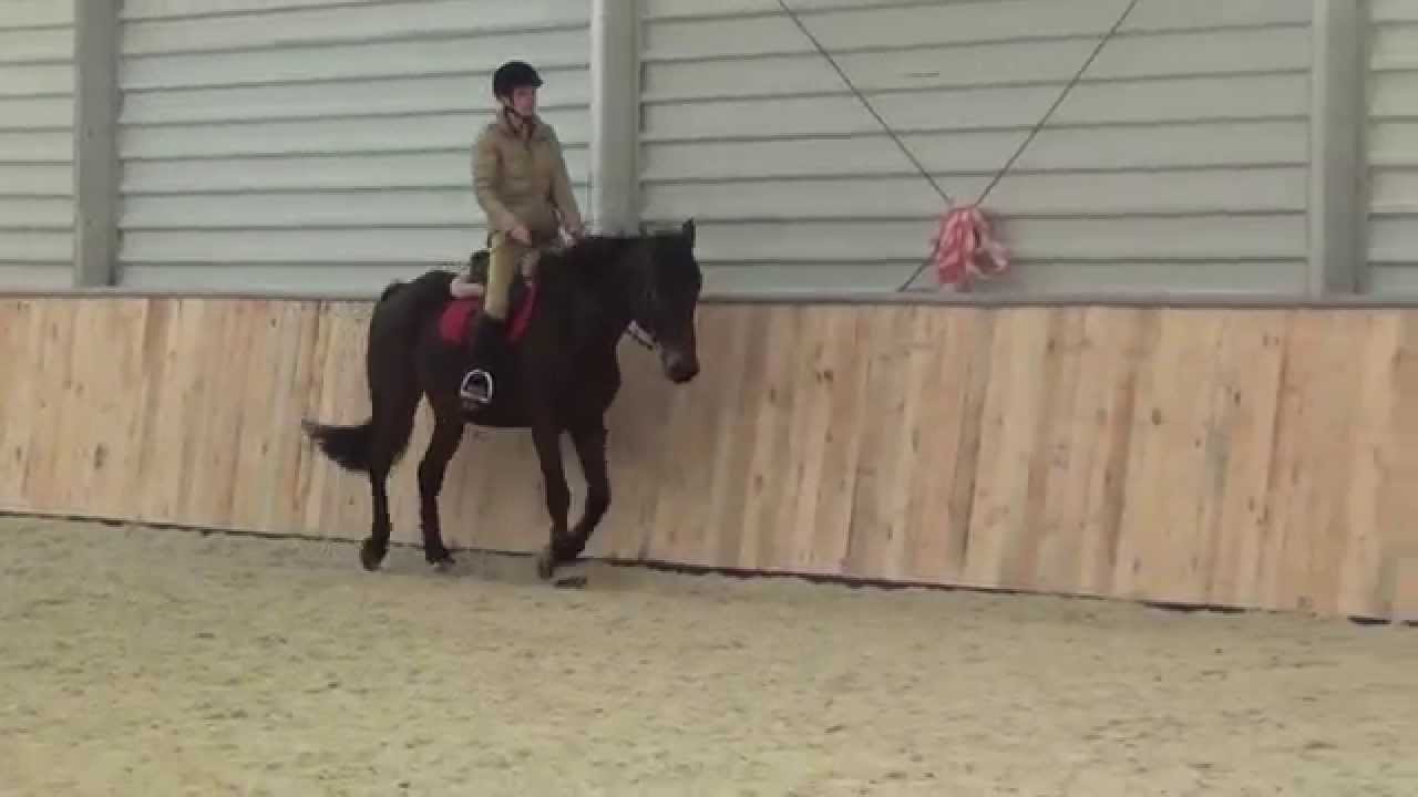 SKJ Poland Park - 20140223 Family horse riding at Poland Park