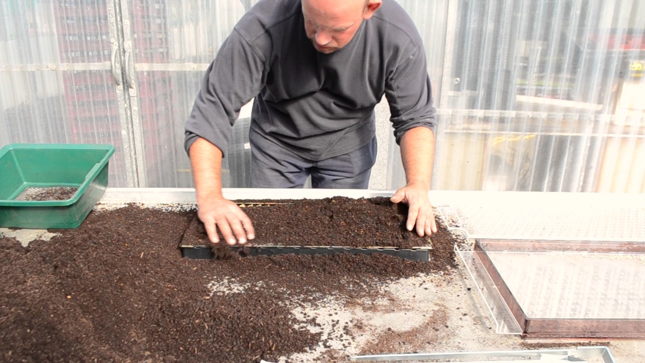 Terrateck - Paperpot transplanteur Système de semis en alvéoles