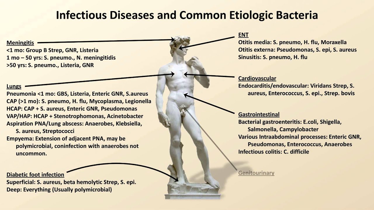 Bacterial Etiologies of Common Infections (Antibiotics - Lecture 2)