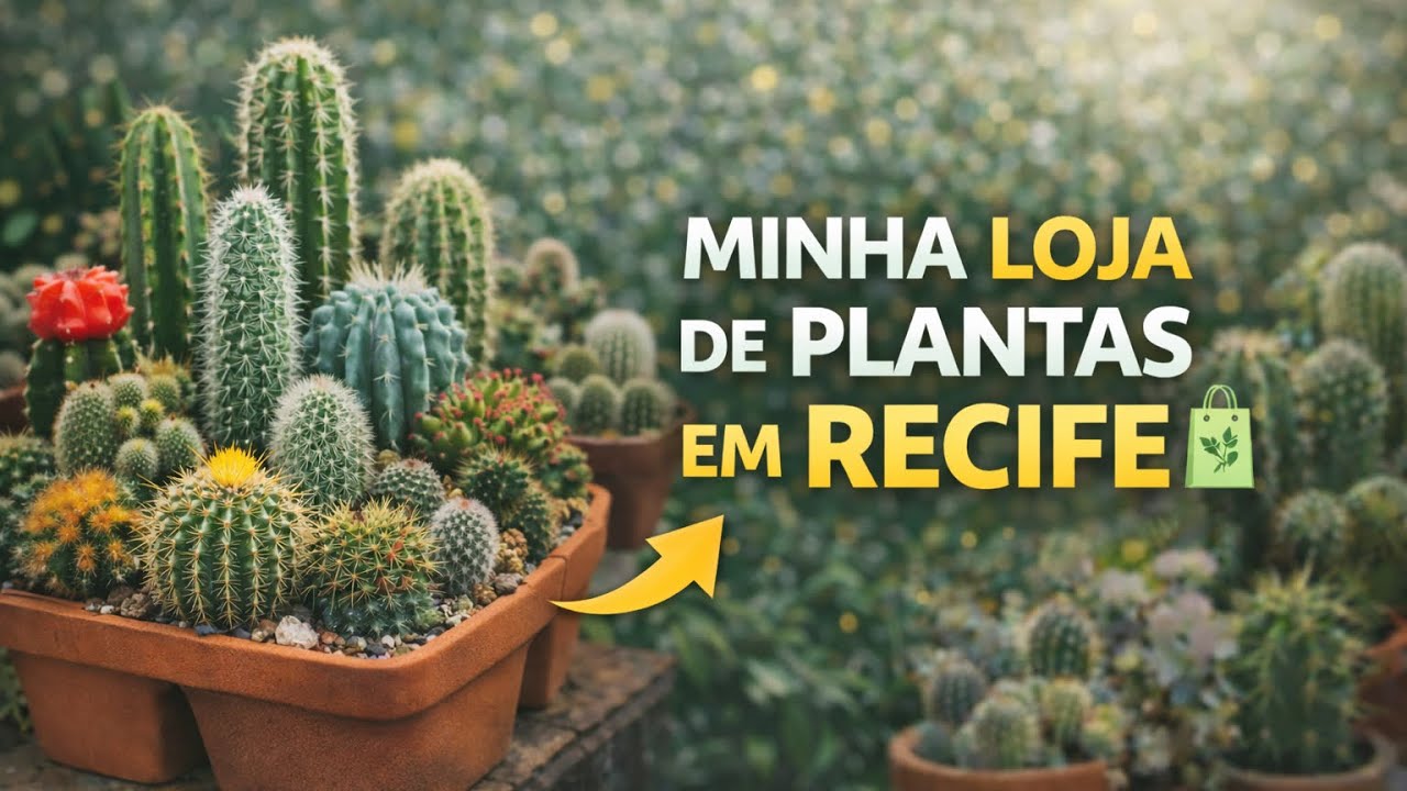 Loja de plantas em Recife